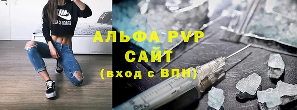 амф Гусь-Хрустальный
